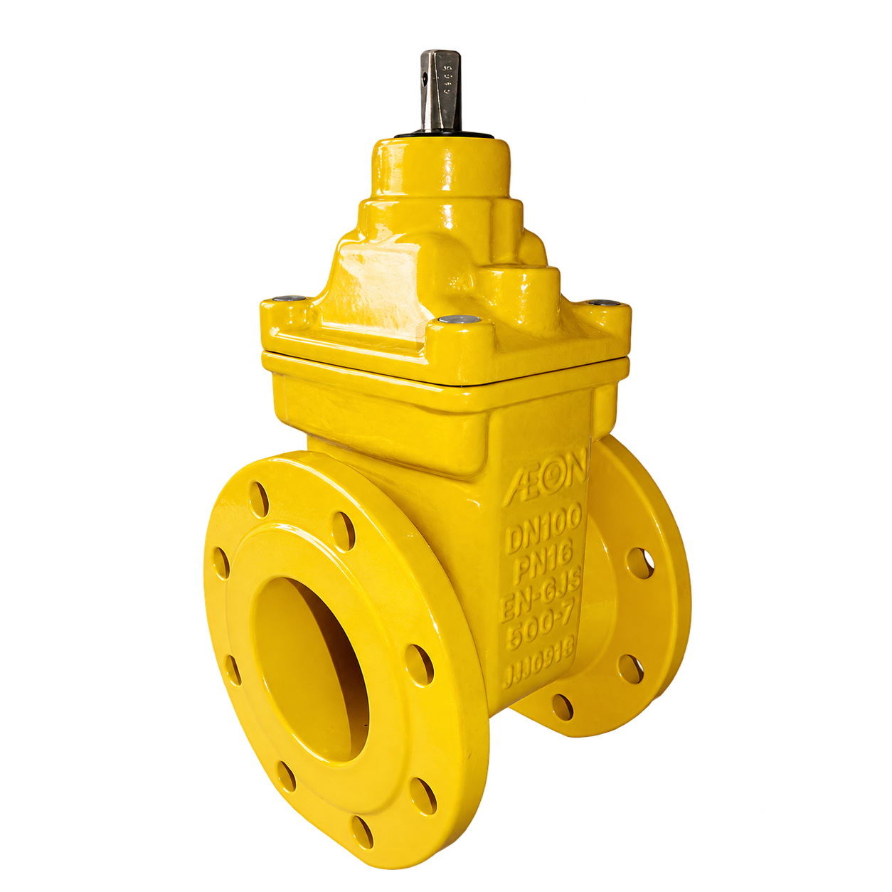 AEON GATE VALVE